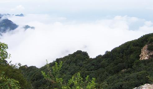 【江門2天品質(zhì)游】新會古兜溫泉、天然山泉水世界、陳